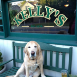 Kelly's Sea Level