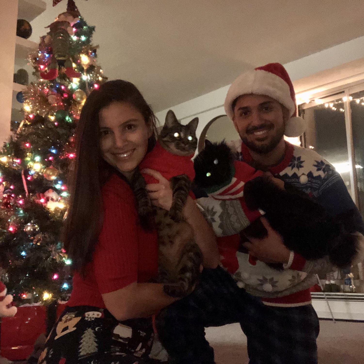 Our first Christmas living together and with our cats ❤️