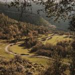 Daily 10 AM Nature Walks on Grounds