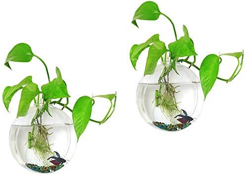 Kingbuy 2 Pack Wall Plant Terrariums Glass Hanging Planter Round Shape Air Plants Holder Indoor Home Office Living Room Decor vase Succulent Container