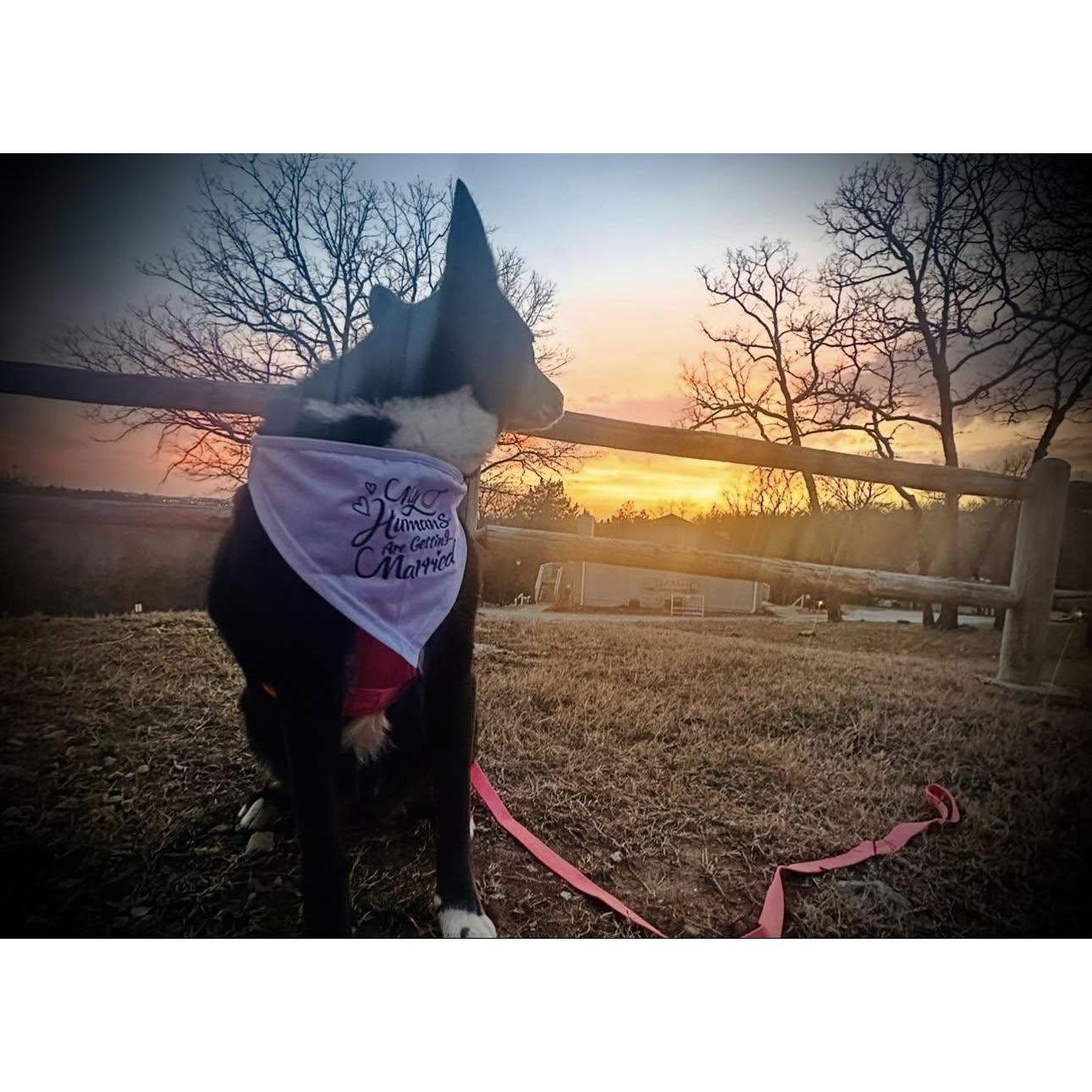 Molly got to go on this trip too.