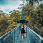 Illawarra Fly Treetop Adventures & Zipline