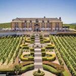 Domaine Carneros