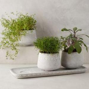 Netara Herb Planter Set
