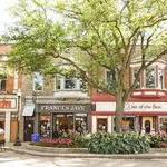 Downtown Holland Shopping District