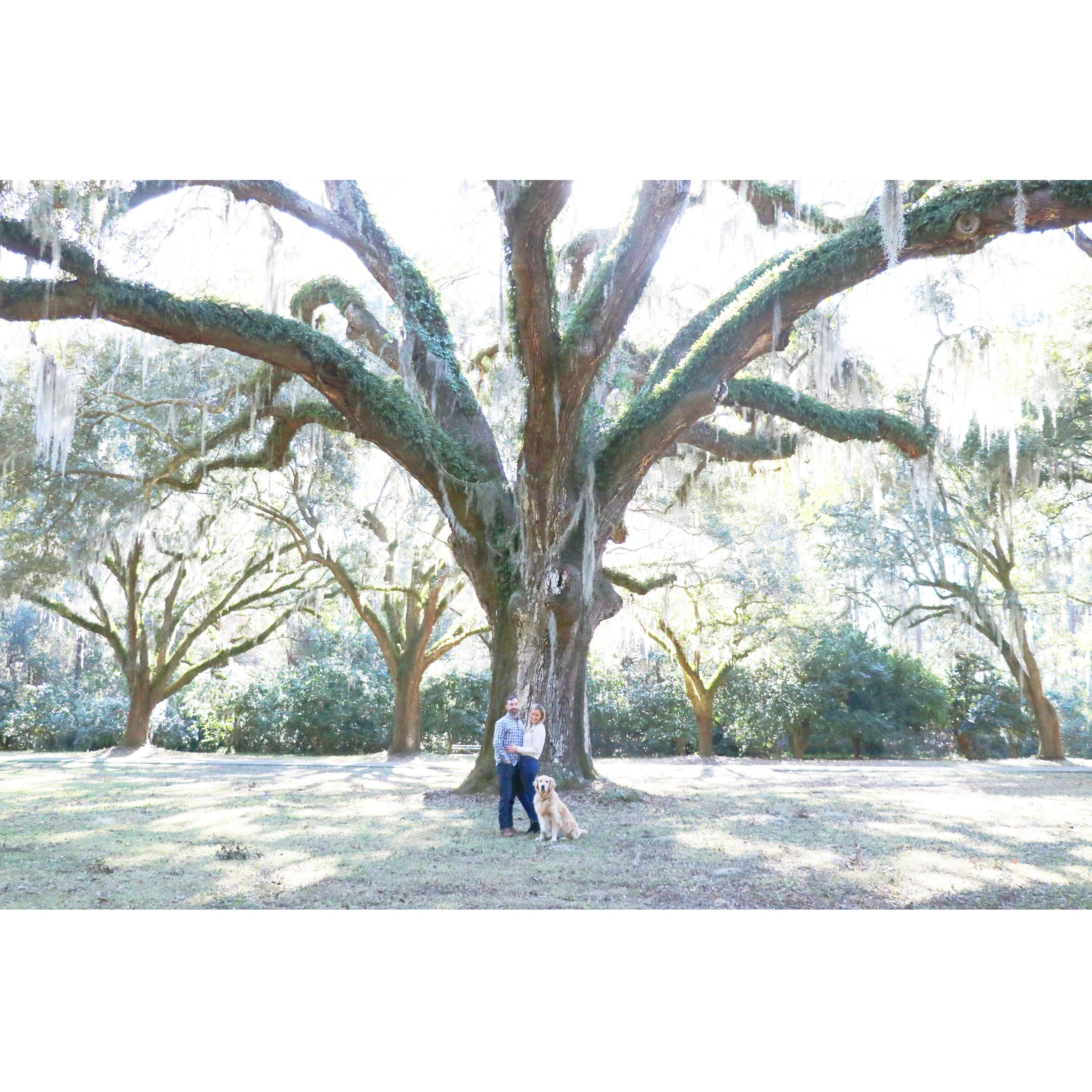 Engagement Photos