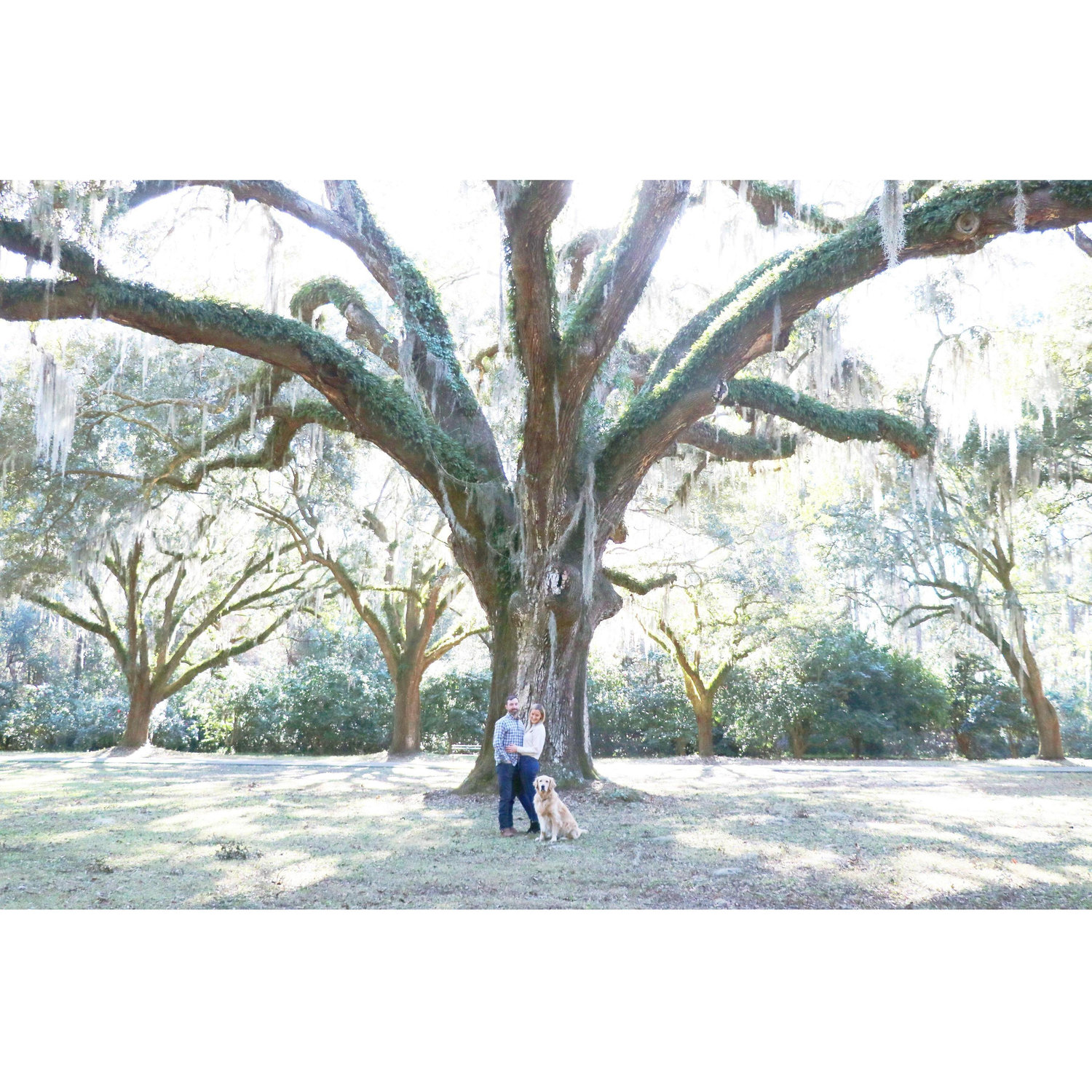 Engagement Photos