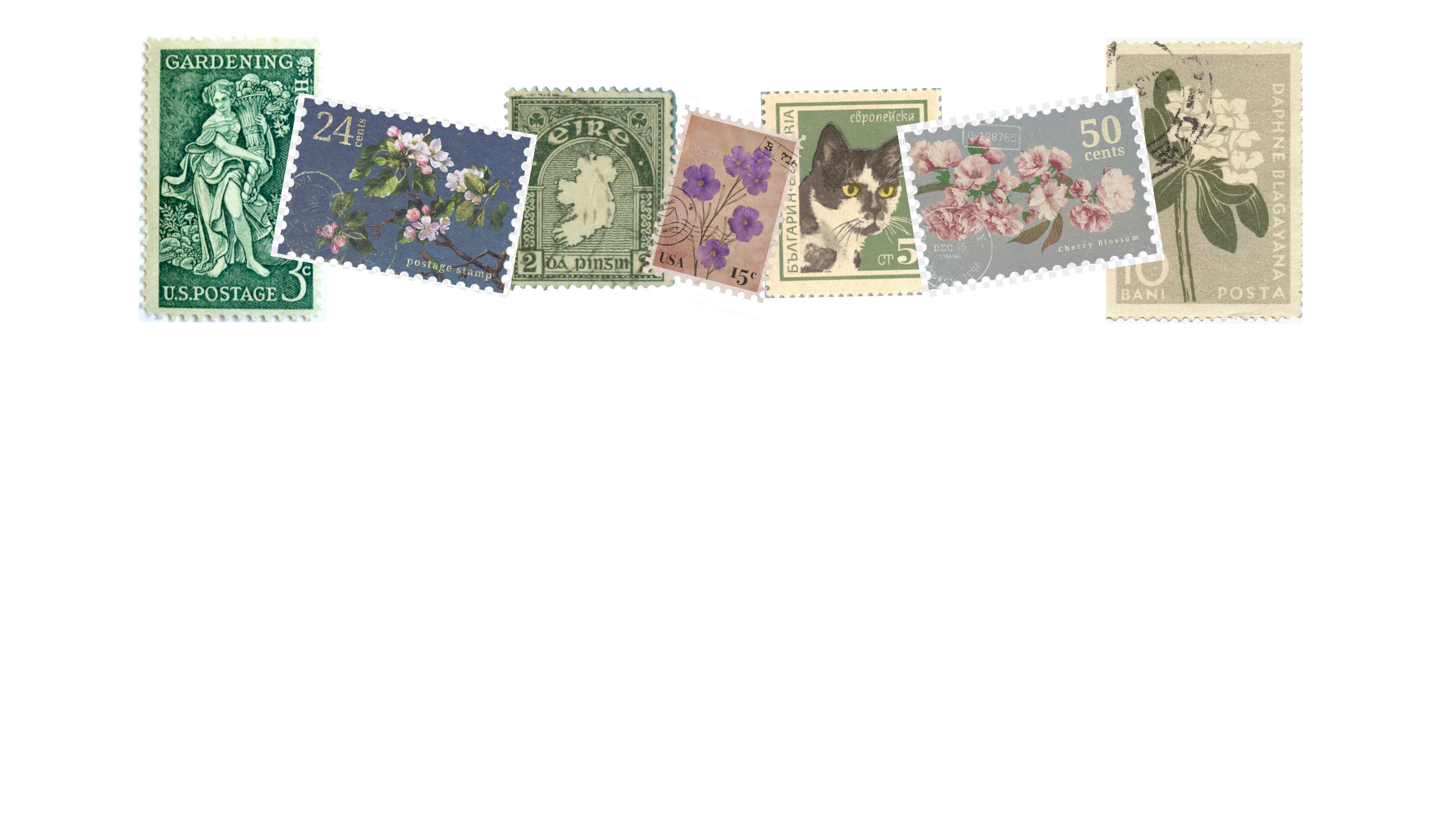 Footer image
