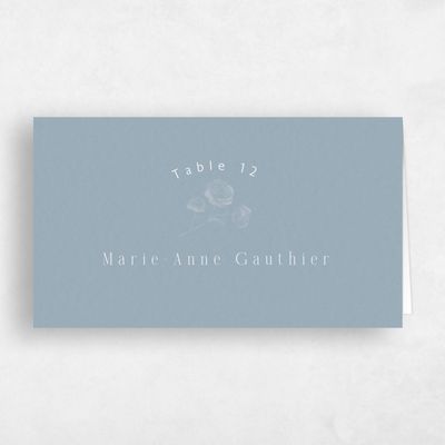 Powder Blue Wedding Place Card - Lorelei