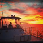 Sunset Cruise with Bay Spirit Tours