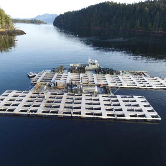 Oyster Farm Tour and Tasting