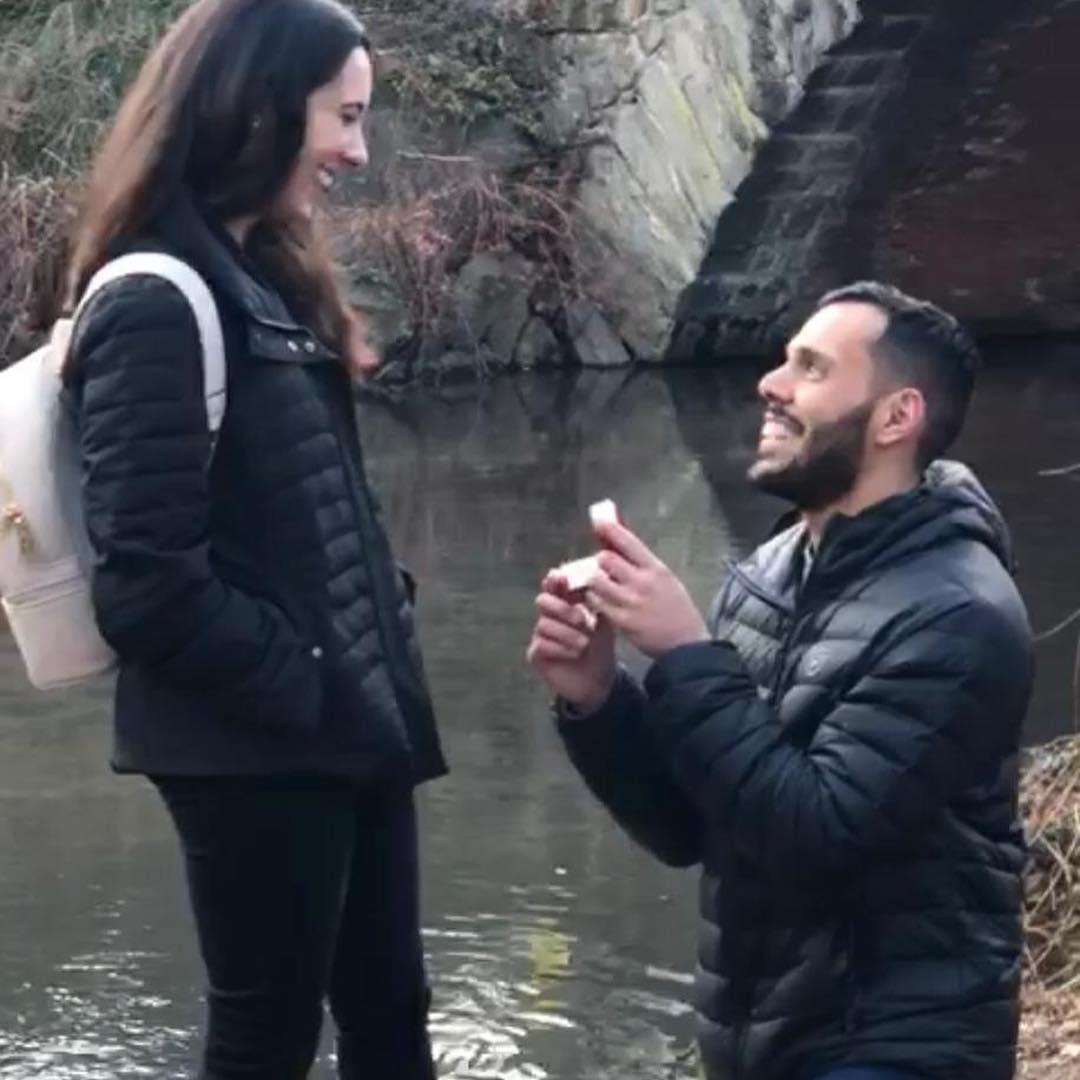 The Proposal