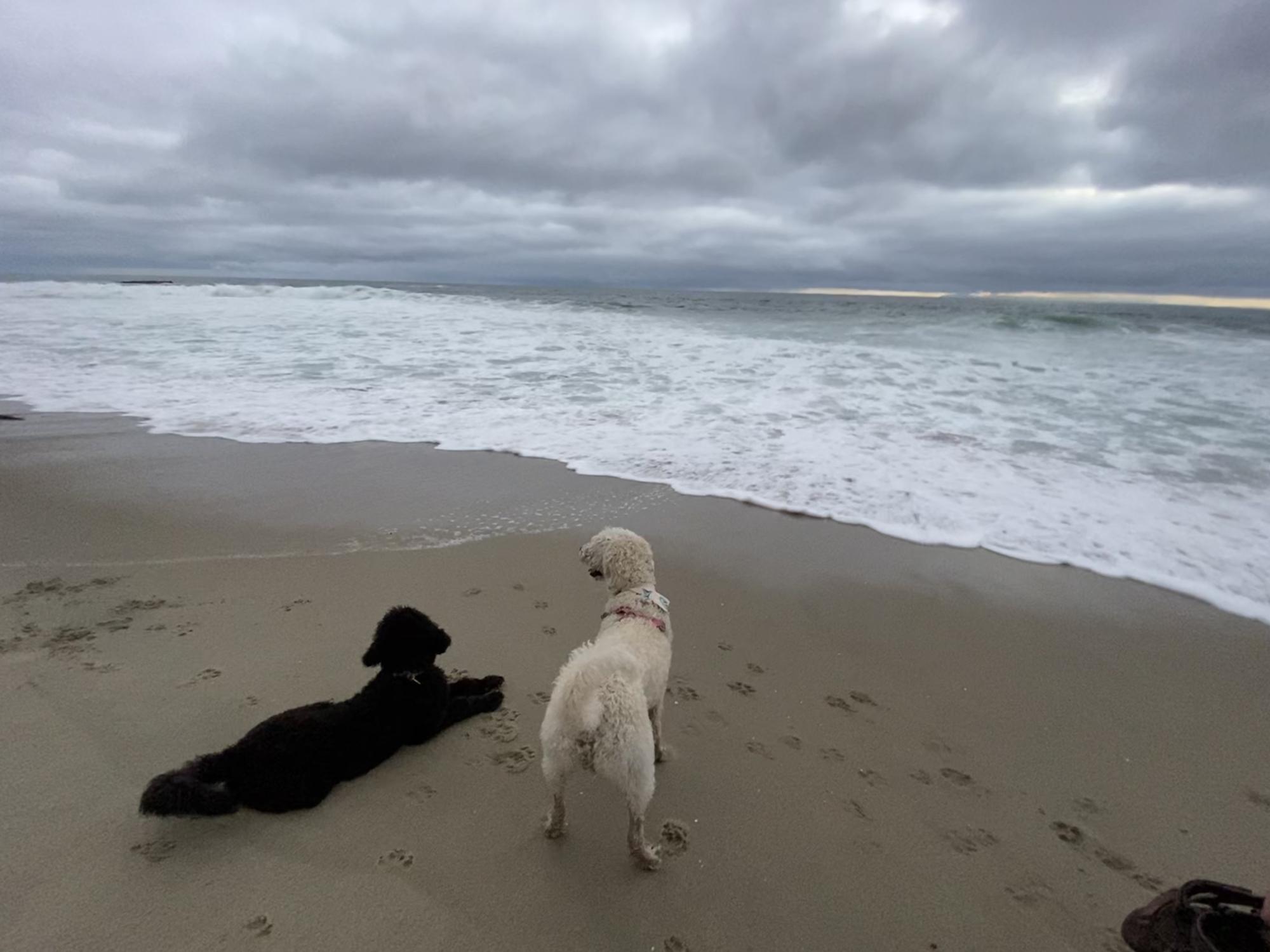 Freya's first time seeing the pacific ocean