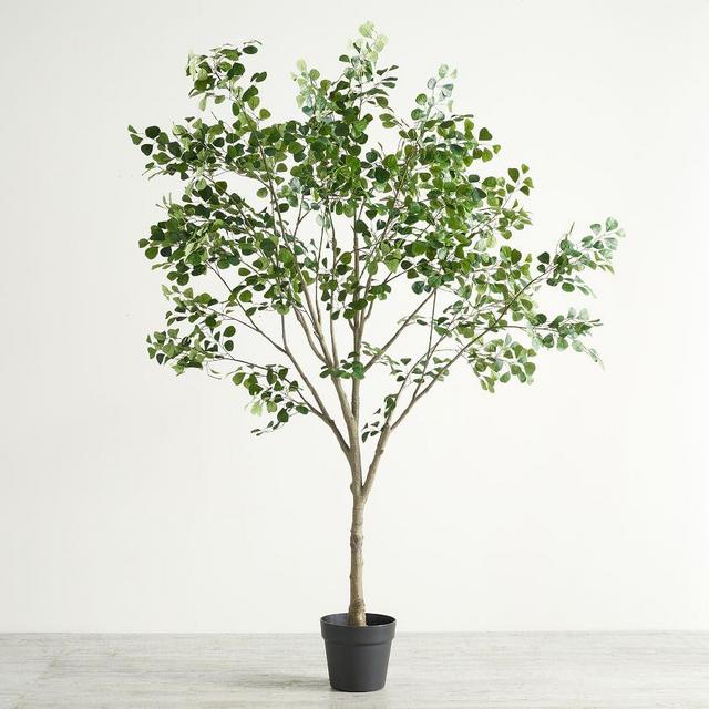 Faux Shady Lady Olive Tree, XXl, 9'