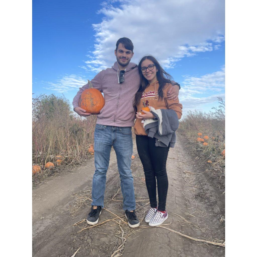 Picking our pumpkins