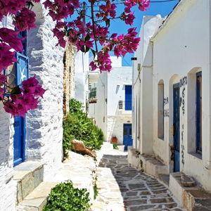 Paros Hotel