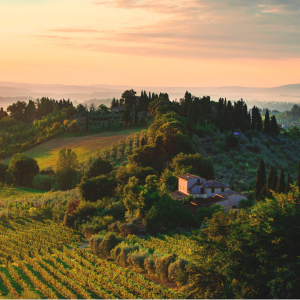 Wine Tasting Tour