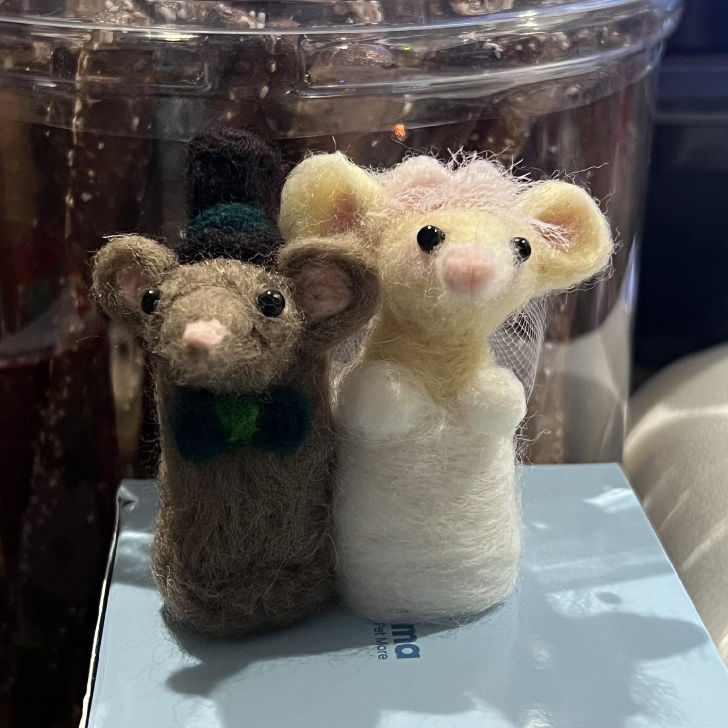 Aw rats !