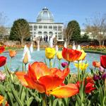Lewis Ginter Botanical Garden