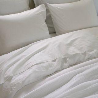Percale Long-Staple Egyptian Cotton Fitted Sheet
