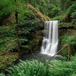 Silver Falls State Park