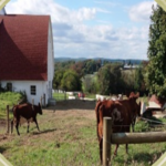 5-Spoke Creamery