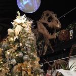 Houston Museum of Natural Science