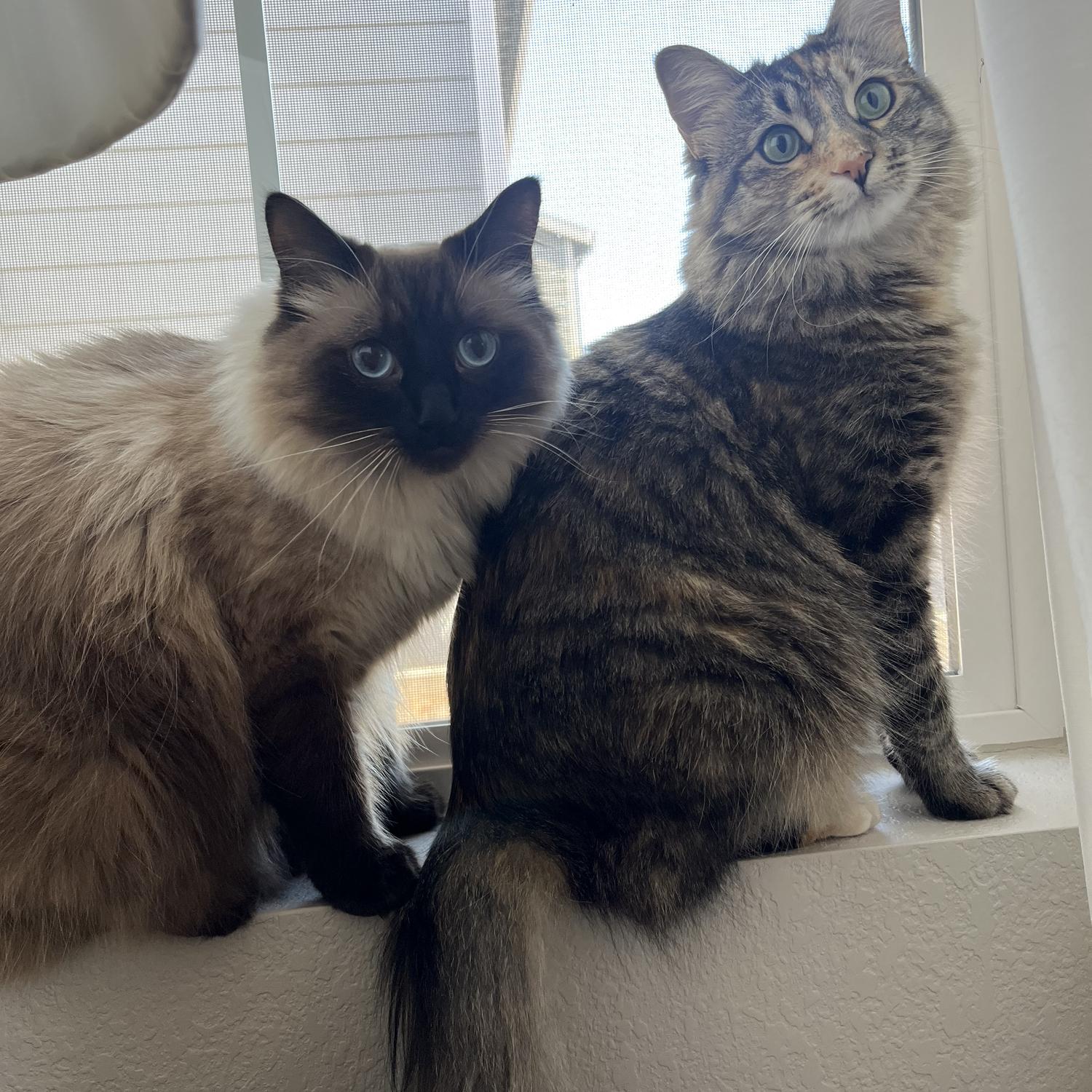 Ricky didn’t think we should show off our precious little angels, but I disagree :)