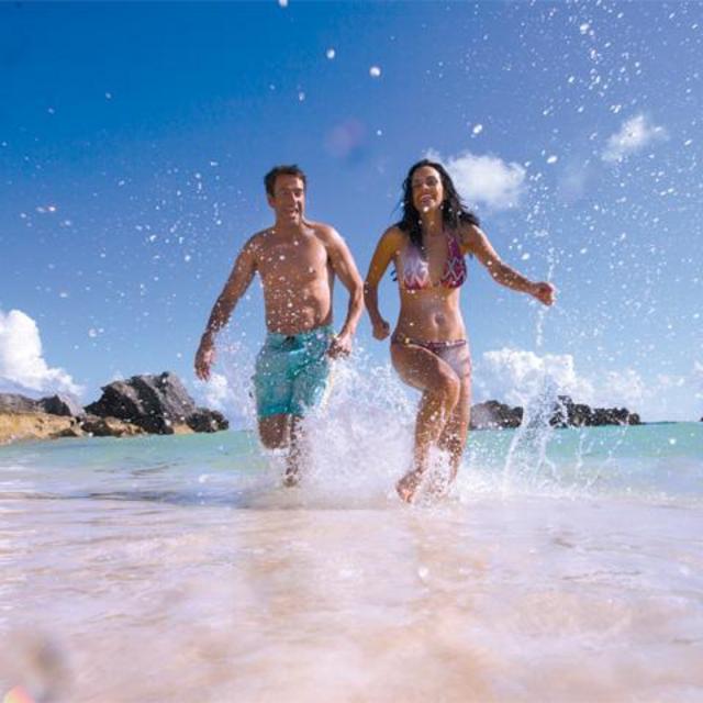 Miya and Robert'S Honeymoon Registry, PLEASE GO TO NCL REGISTRY LINK