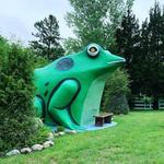 Fontana C. Frog