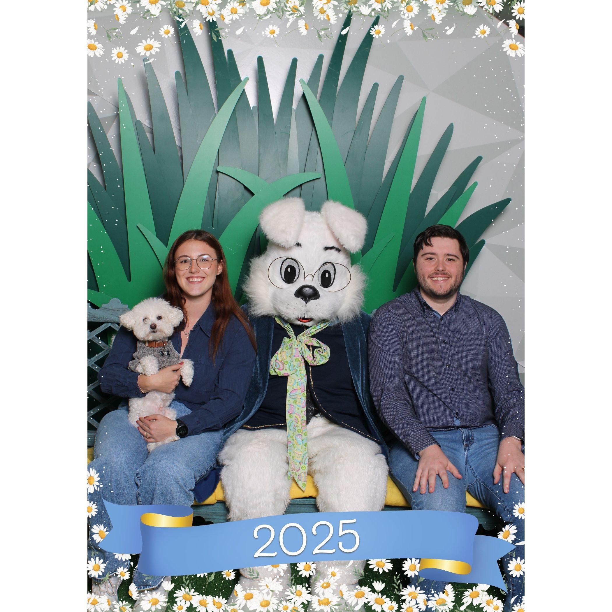 Spring pictures 2025