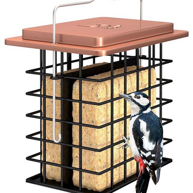 iBorn Suet Feeder Suet Bird Feeders [Double Capacity] for Outside Hanging with Taller Grid for Woodpecker,Metal Brushed Copper（Pack of 1）