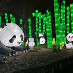 Akron Zoo