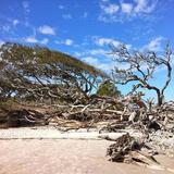 Driftwood Beach Trail