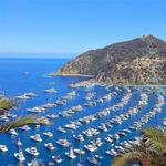 Santa Catalina Island