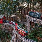 Holiday Garden Railway at Morris Arboretum