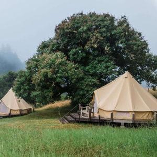 Kayla and Andrew - Elderberry tent