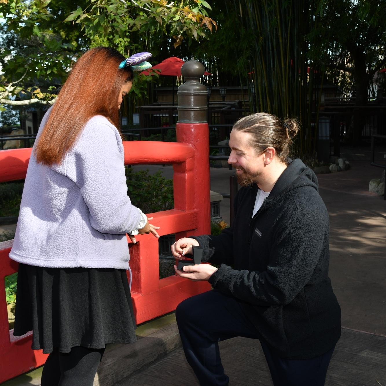 January 2024…..The proposal!