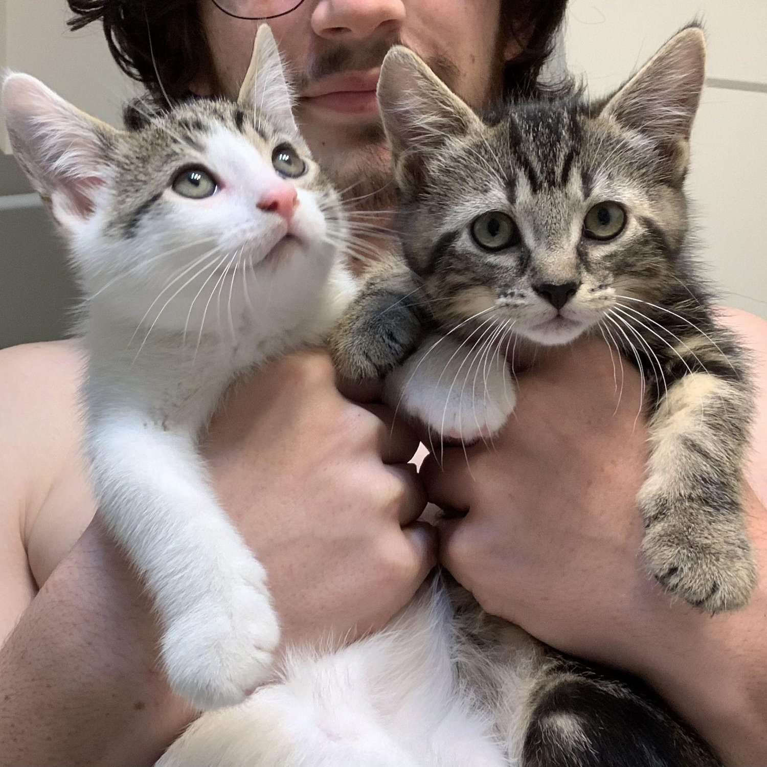 Our little fur babies!