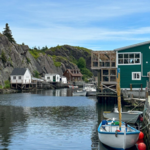 Quidi Vidi