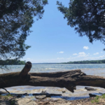 Long Hunter State Park Day Loop