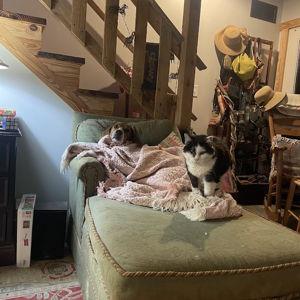 Reupholstering and Repairing the Chez Lounge