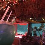 Sip 'n Dip Lounge