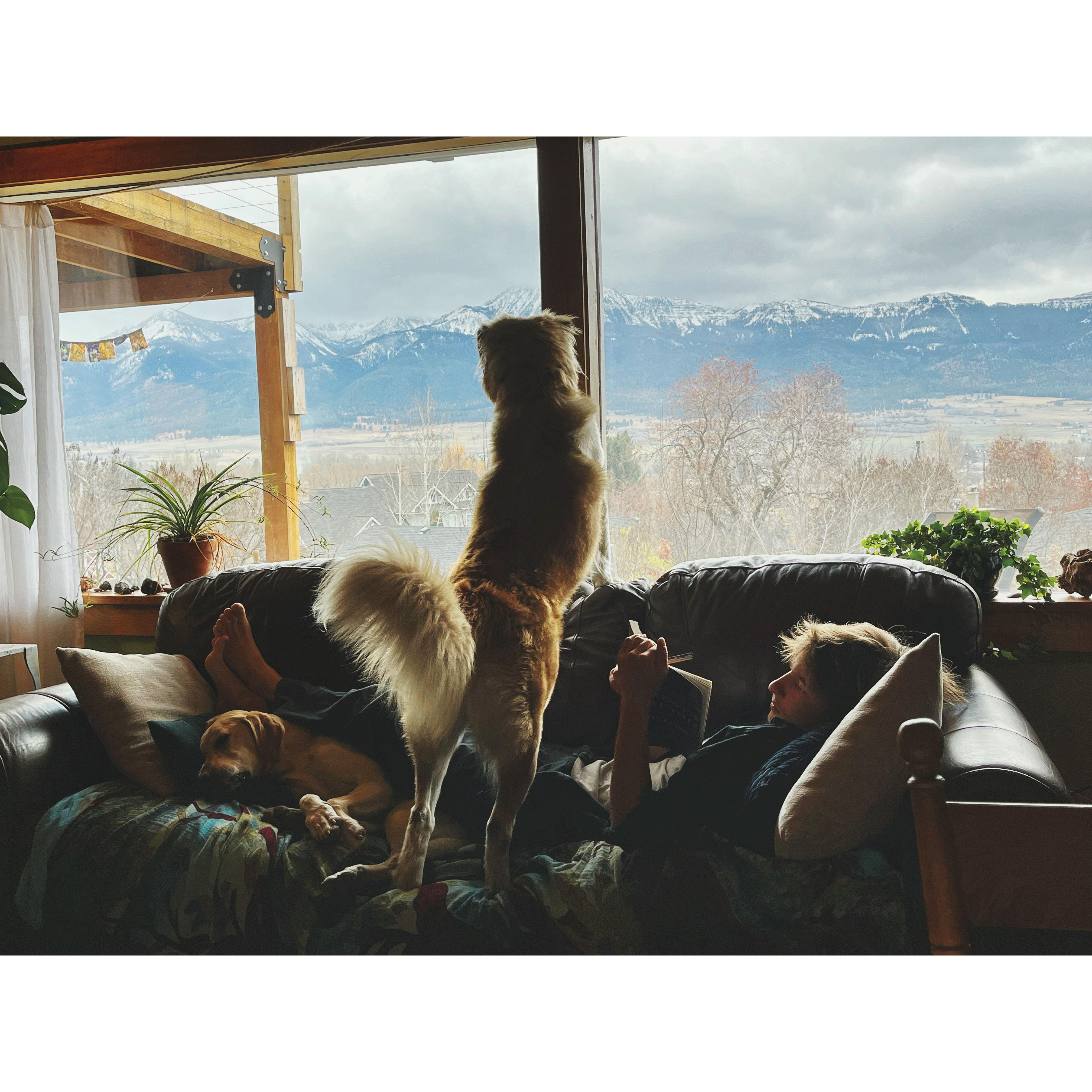 The view from our living room in Enterprise, Oregon