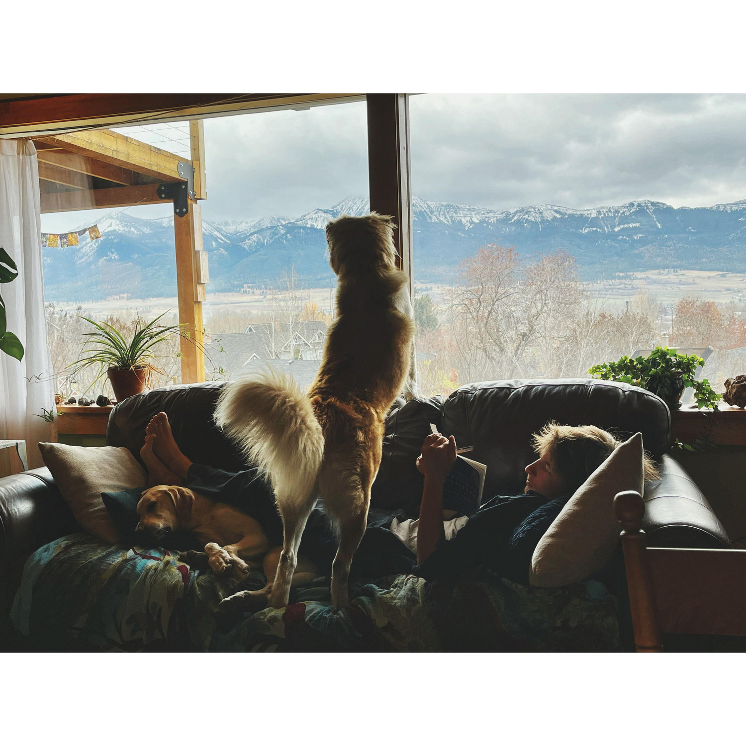The view from our living room in Enterprise, Oregon