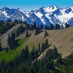 Hurricane Ridge