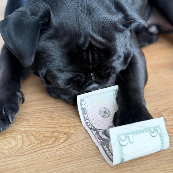 Newlywed Fund