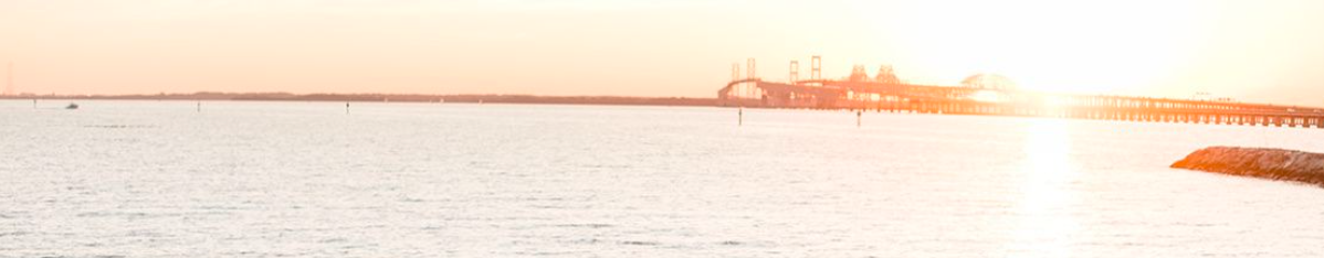 The Wedding Website of Meghan Winston and Ryan Ferri