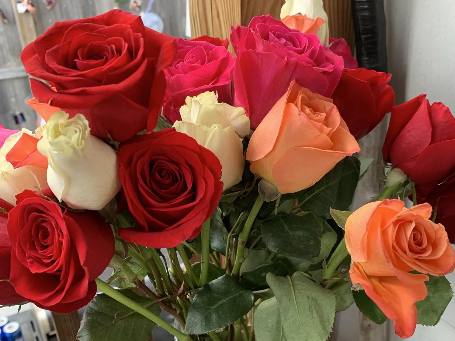 The Wedding Website of Tamera Stephenson and Jacob Passalugo