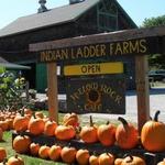 Indian Ladder Farms